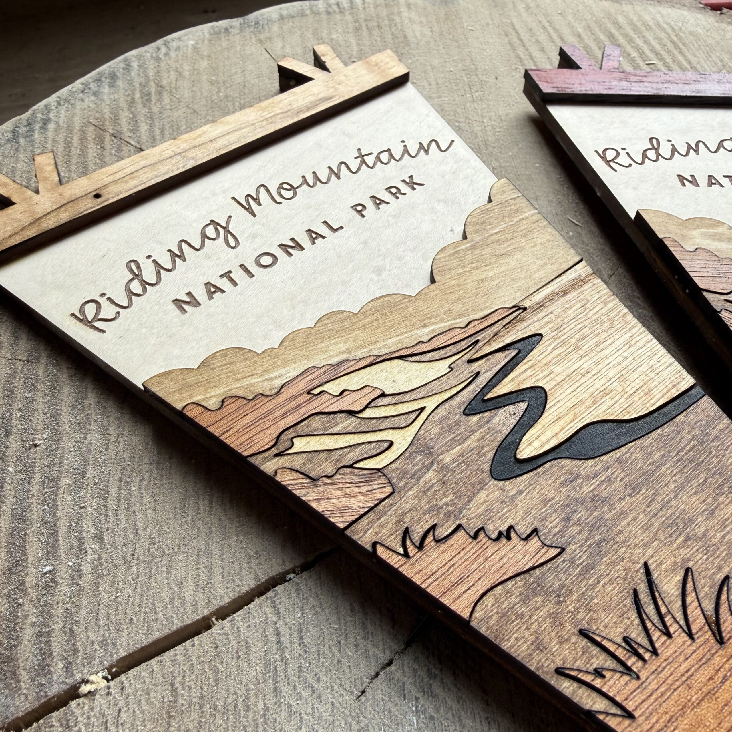 Prairie Pennants - Image 2